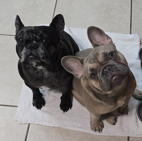 Meet your Seller Sandy 🐈‍⬛ - Picture 16 of 16